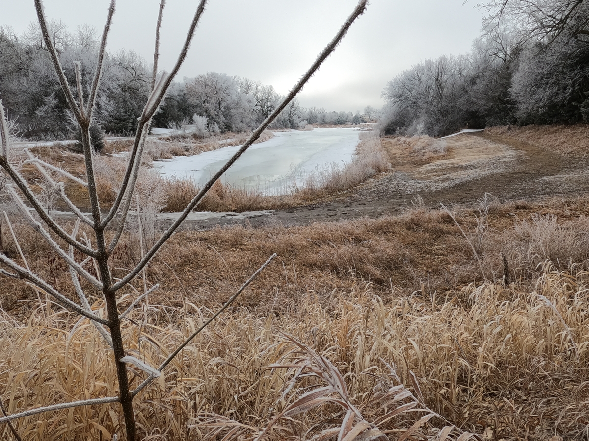 HoarFrost Close-Up & Lake